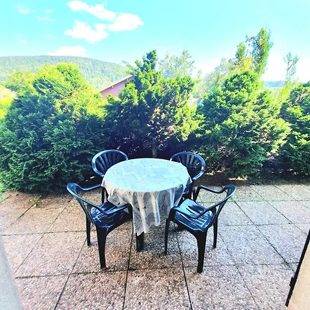 Avec Et Terrasse * Gerardmer