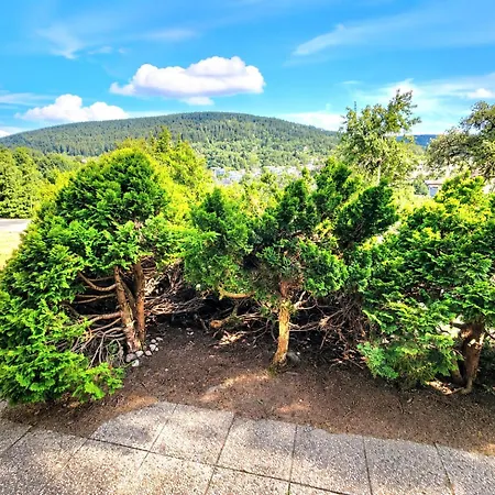 Apartman - Avec - Terrasse - Jardin- Parking - Proche Toutes Commodites Et - Calme - Lisiere De Foret *