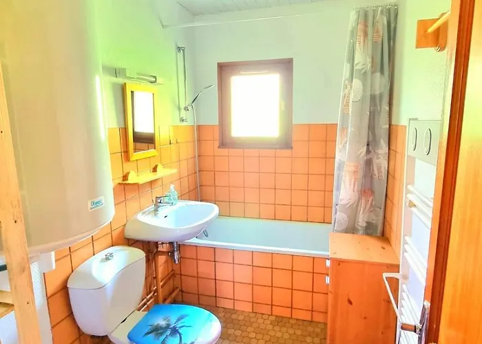 Apartment - Avec - Terrasse - Jardin- Parking - Proche Toutes Commodites Et - Calme Gérardmer